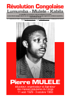 lumuba (2).pdf